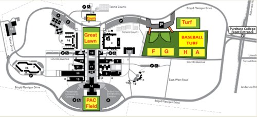 Purchase College Field Map